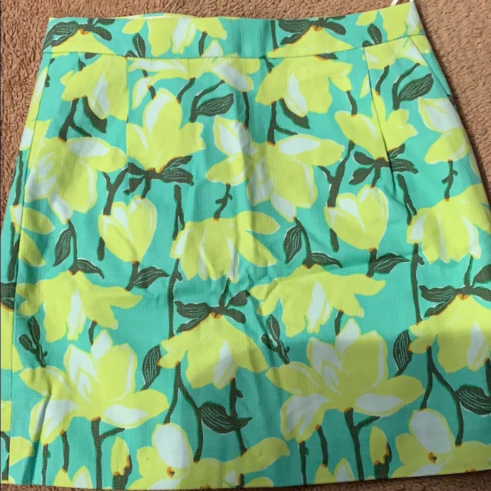 J crew skirt